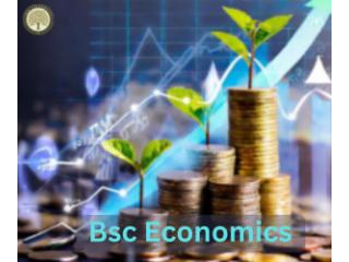 B.Sc. Economics with Research | SRM University-AP