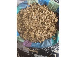 Buy tabernanthe iboga