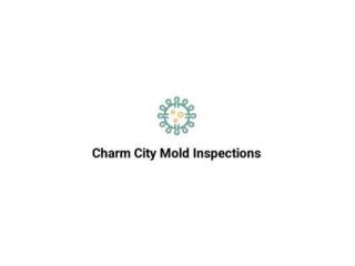 Charm City Mold Inspections