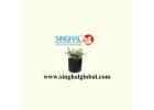 Professional Plant Containers Enhancing Nursery Productivity