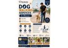 Dog Walking Services
