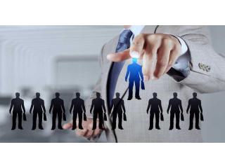 Best Job Placement Consultancy in Indore - Employora