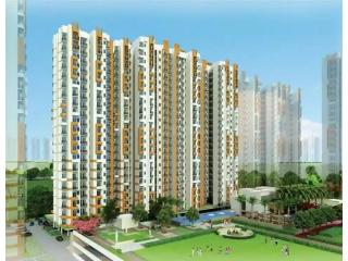 Buy a 3 BHK apartment at Amrapali Crystal Homes in Noida