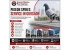 Safe and Humane Pigeon Spikes Service in Gurgaon Since 2012