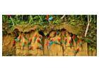 Affordable Tambopata Reserve 4-Day Package & Jungle Tour