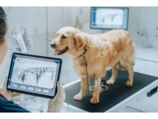 Pet Radiology Hospital for Advanced Diagnostic Imaging