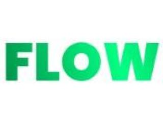 Nicotine Free Pouch by Flow Pouches for Everyday Freshness