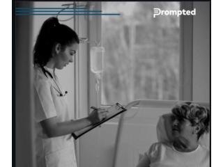 Prompted AI Supports Audit Documentation for Hospice Care