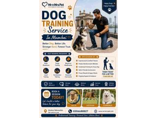 Dog Training Service