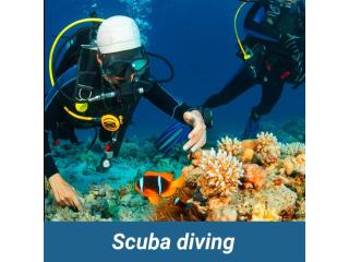 Private Scuba Diving Tour Tenerife | Privatetourtenerife.com