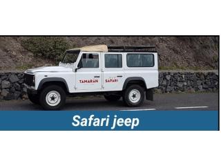 Private Jeep Tour Tenerife | Privatetourtenerife.com