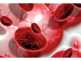Hematology Treatment in Ahmedabad
