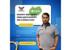 Shopify SEO Expert  Freelance Shopify SEO Consultant