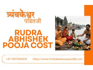 Get Divine Rudra Abhishek And Maha Mrityunjaya Puja Guidance