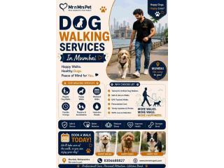 Dog Walking Services