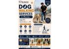 Dog Walking Services