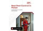 Choose the Best Pest Control in Malad for Complete Protection