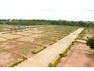 Looking for RERA-registered plots on the Yamuna Expressway?