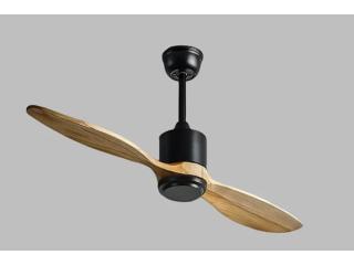 Kinglet in Designer Ceiling Fan