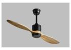 Kinglet in Designer Ceiling Fan