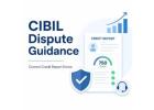 Need Reliable CIBIL Dispute Guidance for Credit Errors? 