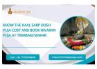 Know the Kaal Sarp Dosh Puja Cost and Book Nivaran Puja at Trimbakeshwar