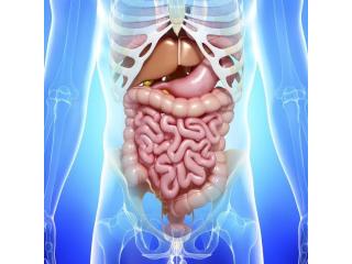 Expert Care for Functional GI Disorders in Ahmedabad