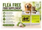 Flea Free Food Supplement for Dogs & Cats – Natural Flea Support