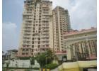 Buy 2, 3, and 4 BHK apartments at Amrapali Sapphire in Noida's Sector 45 for just ₹90 lakh