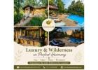 Reserve a Luxury Resort in Kanha National Park for Your Safari Trip