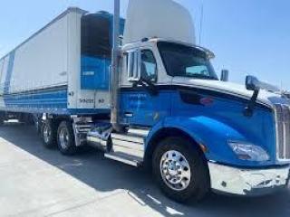 Reliable Refrigerated Logistics Companies for Safe Cold Chain Transport