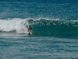Surf Camp Tenerife for Europeans | She-surfs.com