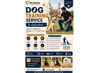 Dog Training Service