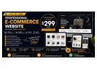 Professional E-Commerce Website - Complete Online Store Only $299