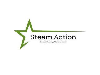 Steam Action Carpet Cleaning