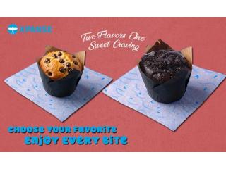 Cost-Effective and Best Coffee Shop Madgaon - Xpanse Coffee