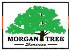  Prepare Your Property For What's Next - Land Clearing Services in Paradise, CA!