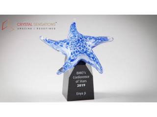 Honor Success with a Premium Custom Crystal Trophy