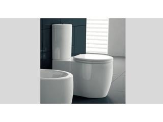 Toilet Bowl
