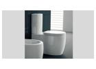 Toilet Bowl