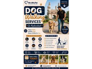 Dog Walking Services