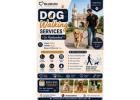 Dog Walking Services