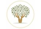 Hospice Service Dallas – Caring Support for Families in Need | Holding Hands  Hospice