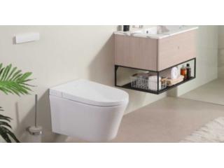 Wall Hung Toilet Bowl