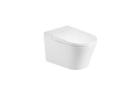 Toilet Bowl