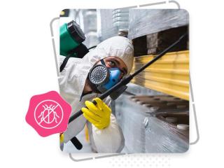Pest Control Industry SEO in Dubai | Dubai SEO Company