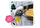 Pest Control Industry SEO in Dubai | Dubai SEO Company