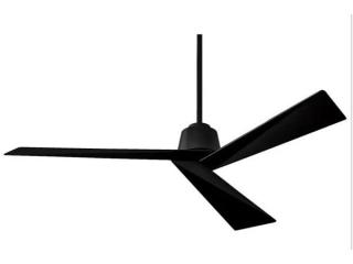 Tern in Designer Ceiling Fan