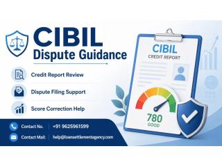 Need Reliable CIBIL Dispute Guidance for Credit Errors?