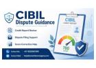 Need Reliable CIBIL Dispute Guidance for Credit Errors? 